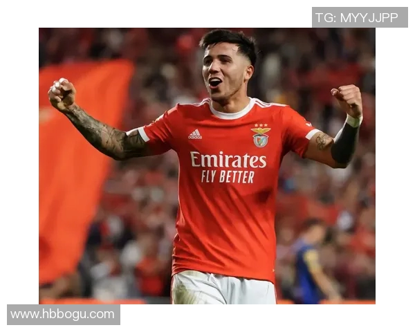 恩佐的成长之路：从少年到冠军的奋斗历程与心路历程